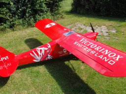 Modelle unserer Mitglieder